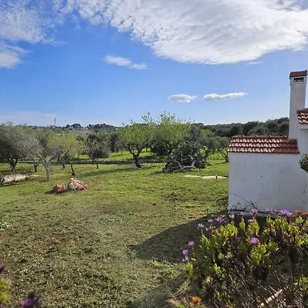 Il Trullino Di Vallegna Ostuni