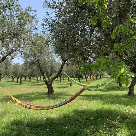 Il Trullino Di Vallegna أوستوني